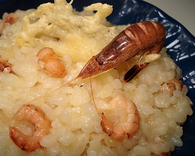 Risotto aux Crevettes grises -- 15/05/10