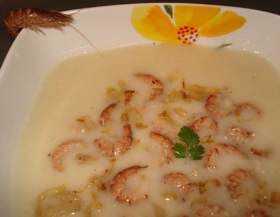 Velout� de Chicons aux Crevettes grises
