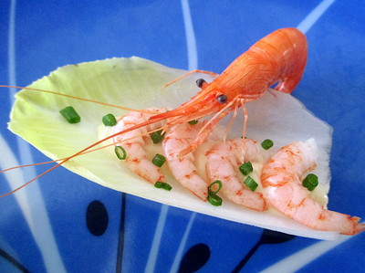 Barquette d'Endive aux Bouquets roses -- 17/09/13