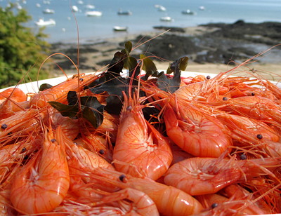 Cuisson simple des Bouquets -- 10/09/13